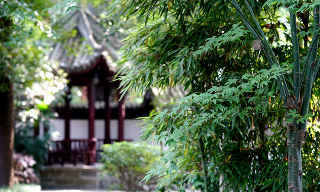 四川旅游寶 成都博物館匯總：5個特色場館，內(nèi)涵又安靜，518免費逛！