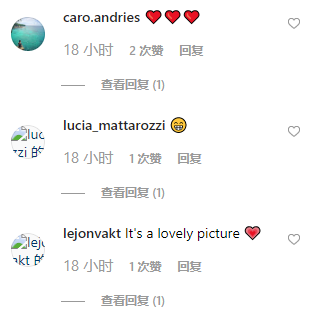 舜網 巴西一流浪狗受傷后走入診所，還主動向醫生展示傷口，醫生都驚了