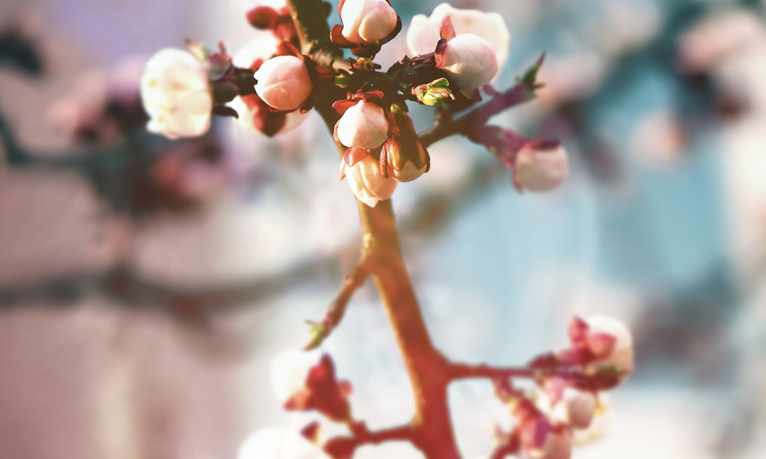 生肖夜梦|9月底,走上坡路,贵人相助,富贵难挡,3生肖财气不断,招财进宝