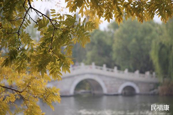 饮食|白露已至,饮食宜润燥、滋养,做到4多吃和3不吃,健康度秋
