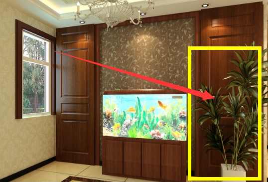 家里这些地方万万要摆上植物,乞丐也能住富裕,有钱人都这么装!