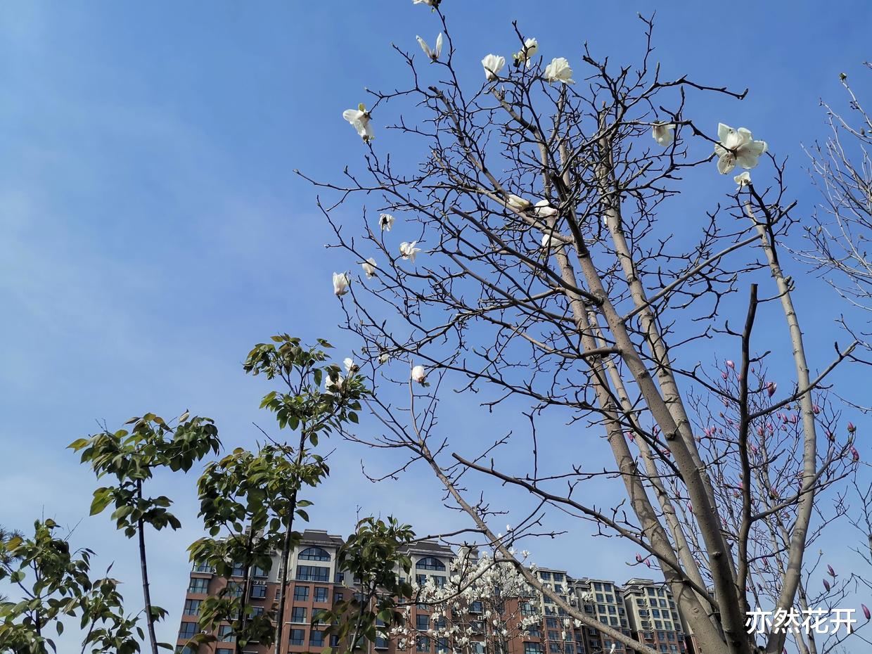 |职场沟通表达，需要掌握三个原则