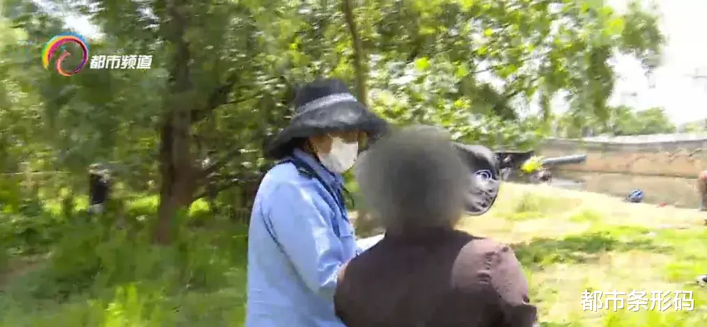 |鱼苗都不放过？官渡街道联合水务整治违规钓鱼捕捞行为