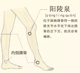 宫廷晟方|夏季~脚气的高发季！艾灸缓解脚气，轻松无压力
