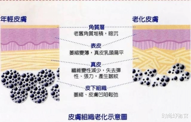 时尚好物官|宋智孝素颜出镜，38像18！网友：“换血美容”第一人，我换我也美