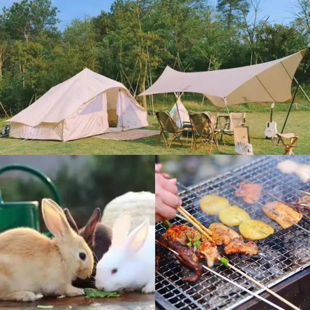 饵料|听说这个钓场不允许空军