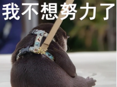 君君谈情感 61岁老太太为18岁男友花40多万，你相信是爱情吗？