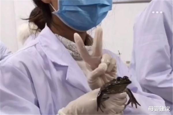 母婴建议|为什么说别“惹”学医的女生？看到她们上课的内容，男生自惭形秽