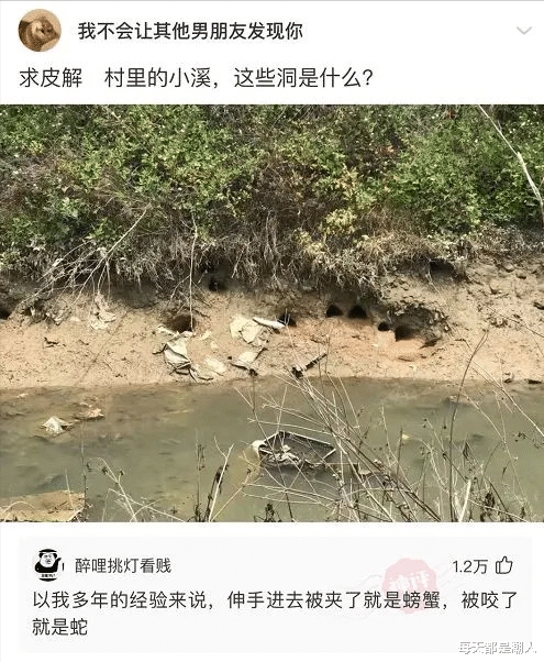 每天都是潮人|神回复：晚上睡觉前除了晚安，还能说什么？网友：安息吧