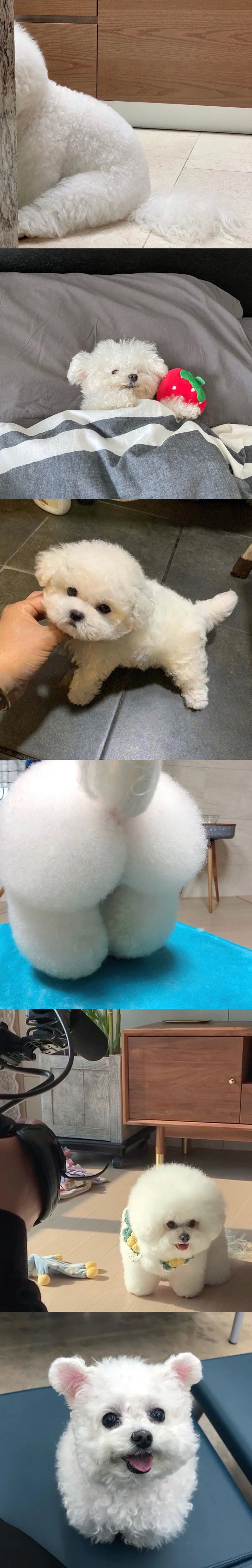 桉月|表情包:今日份治愈表情包