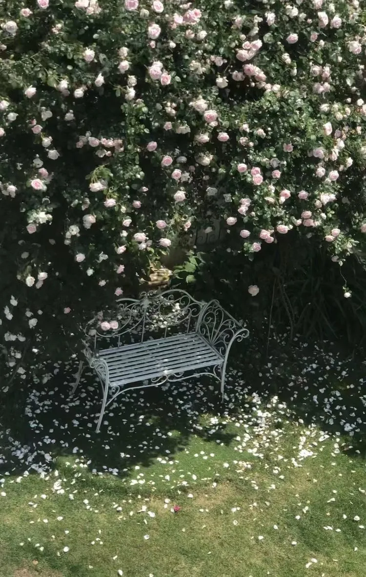 |买了别墅花园房，用5年时间，亲手设计打造400㎡别墅花园，太美了