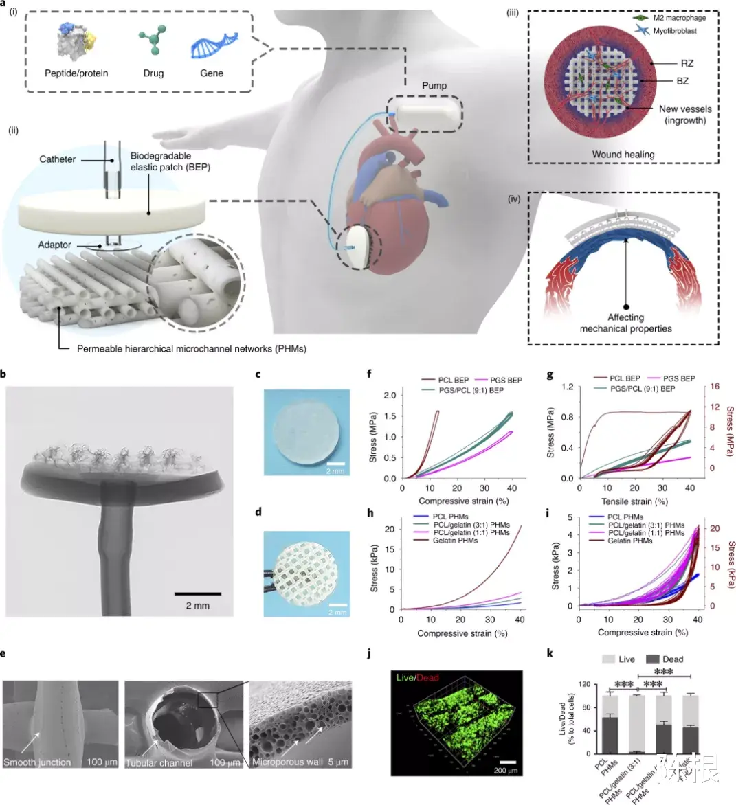  陈根：自愈合材料新突破——应用于人体