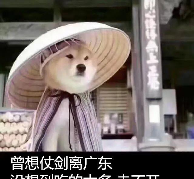 茶苏苏烘焙日记|喜茶对不起!你的招牌被我破解了!学会再也不用去排队!