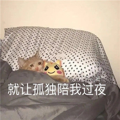 桉月|表情包：让孤独陪我过夜