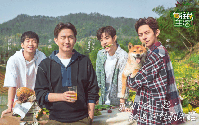 《向往》5季蘑菇屋现状，3处保存尚好，1处被废弃，1处在装修