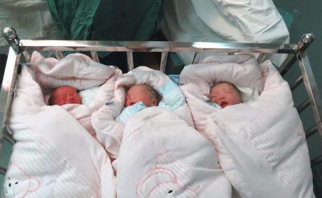 小雪妈妈育儿|“公”姓爸爸为三胞胎取名发愁，奶奶随口一取，民警连连称赞