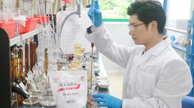 当代资讯 广药集团板蓝根二次开发新突破，促进产业升级，加速开发板蓝根改良型新药