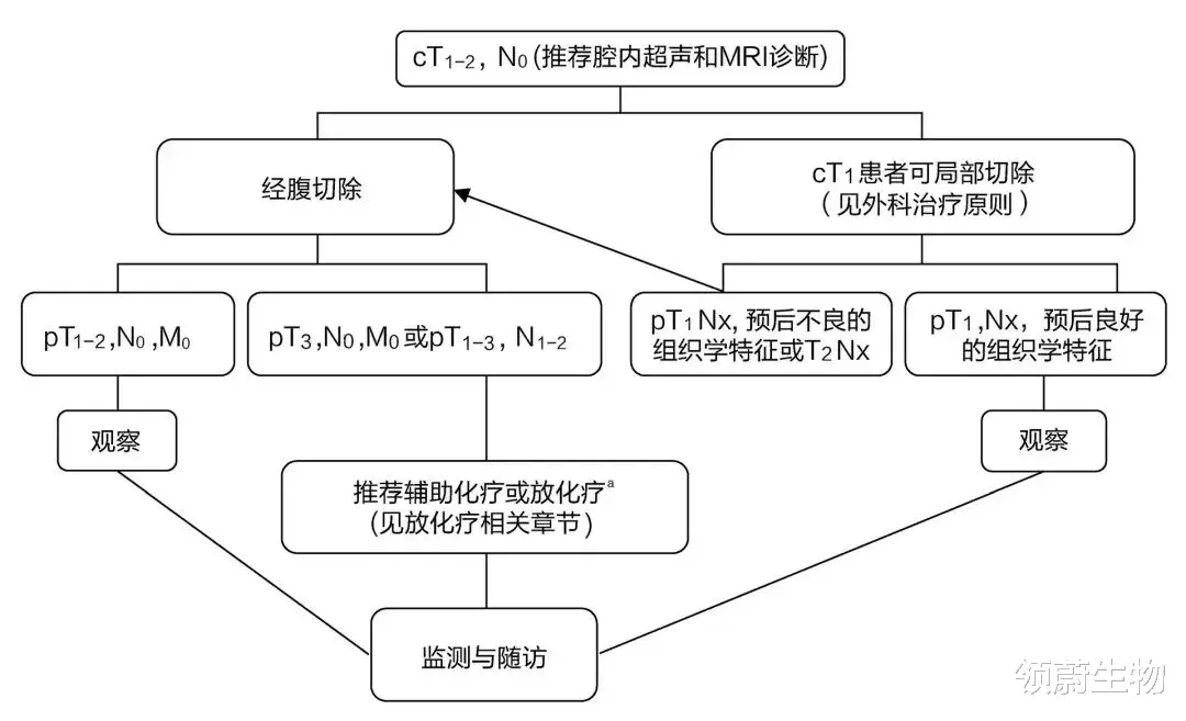 领蔚生物 最全结直肠癌诊疗流程图，只此一篇值得收藏！