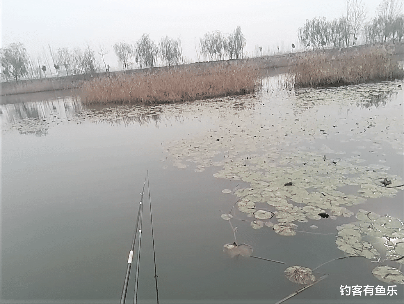 饵料|深冬野钓轻口鱼，有小杂鱼闹钩，经过这三方面的改变，可专钓鲫鱼