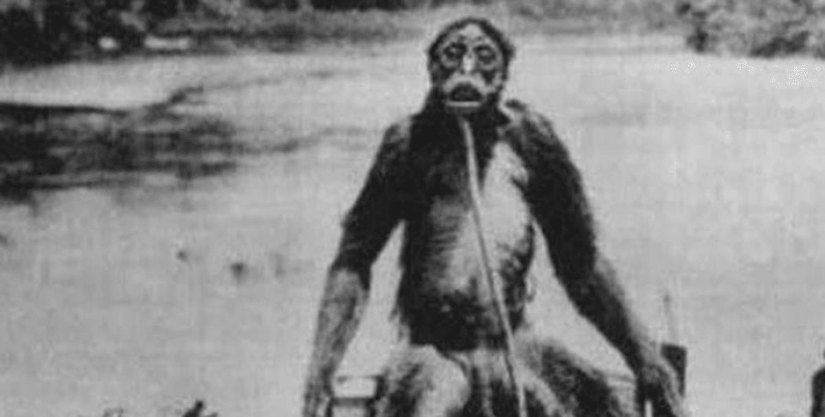 神农架野人是否存在?目击者称其2米多高,力大无穷,浑身腥臭