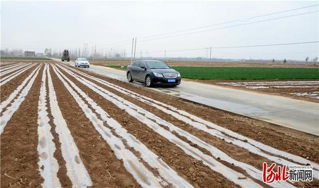 河北新闻网 河北广宗\＂幸福小路\＂通往乡村深处
