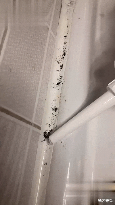 德才兼备|韩国夫妻把家布置的,井井有条,自律精致的生活,清新治愈,佩服