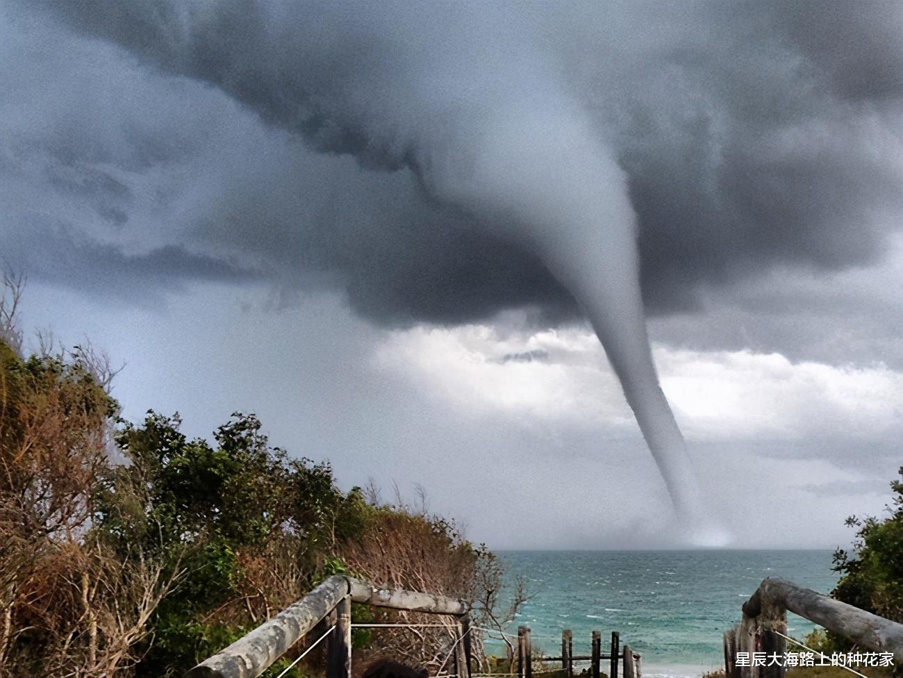 星辰大海路上的种花家 生命会自然产生吗？为什么随便挖个水塘，不久以后就会有鱼？