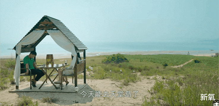 能跟宋智雅一较高下的女人终于出现了!