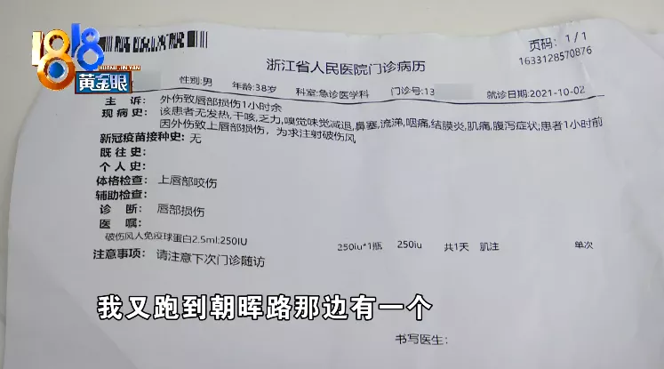 购房置业|租客被鼠咬嘴巴 中介提到一只猫