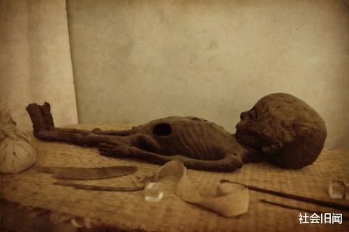 外星人 牛津教授深信外星人存在,它们可能是昆虫形态,认为早已潜伏地球多年