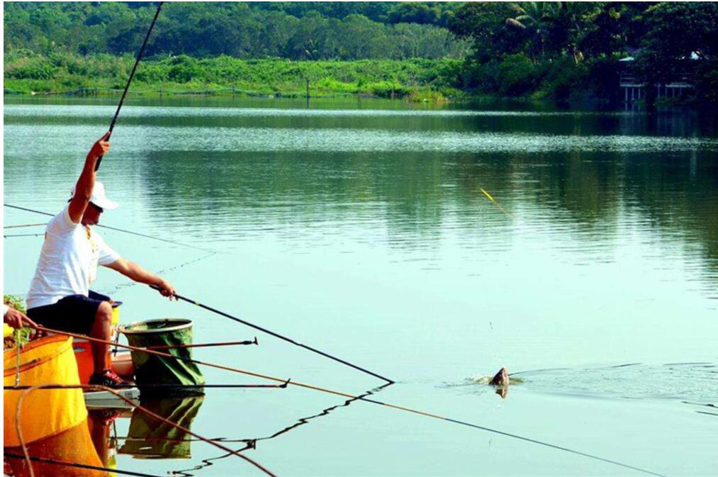 |鱼上钩只是第一步，后面几个环节没做好的话，断竿跑鱼功亏一篑。