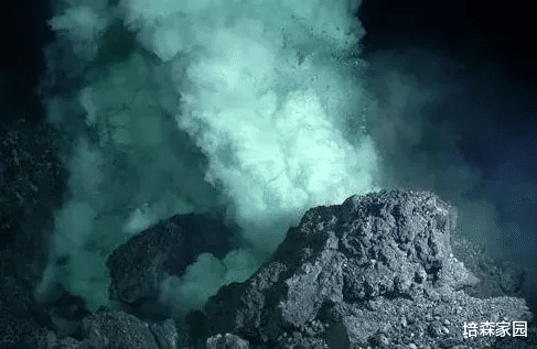 盲虾 在450℃的深海中，盲虾是如何生存的？