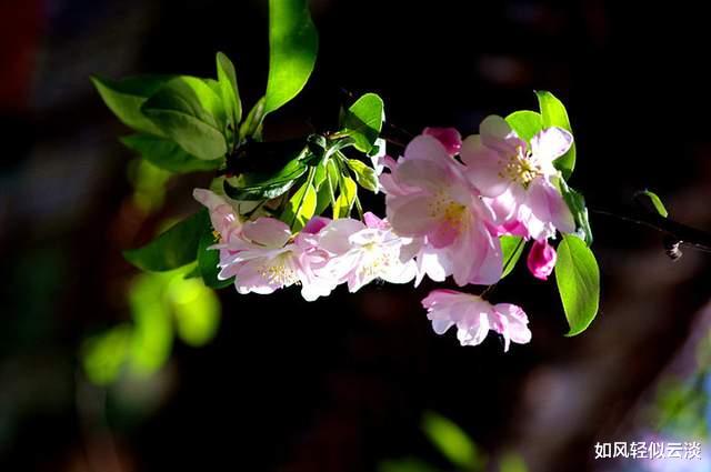 |人到四十，面对这三种苦，只有熬过去