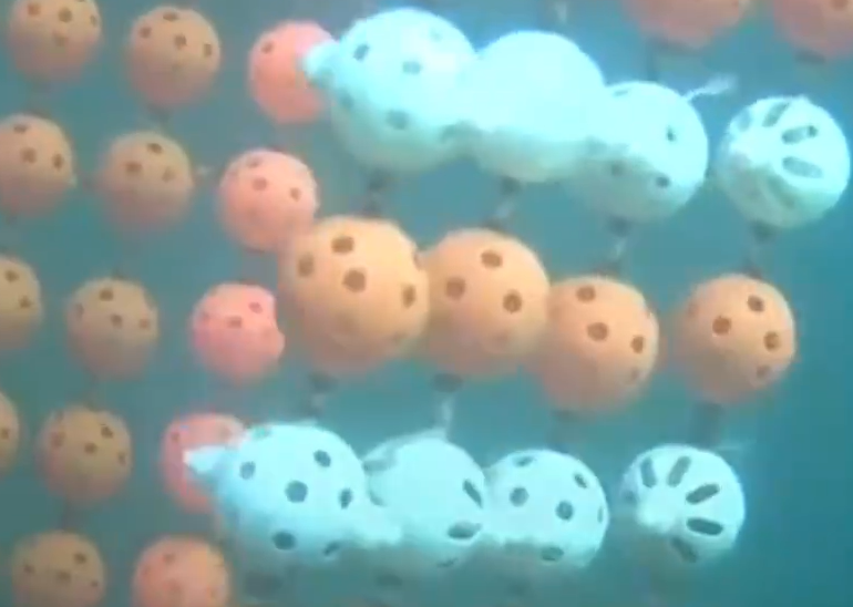 显微镜 科学家发明出一种便宜且简单的海水提锂法