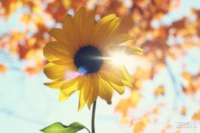 夏晴风|你什么习惯,就什么命