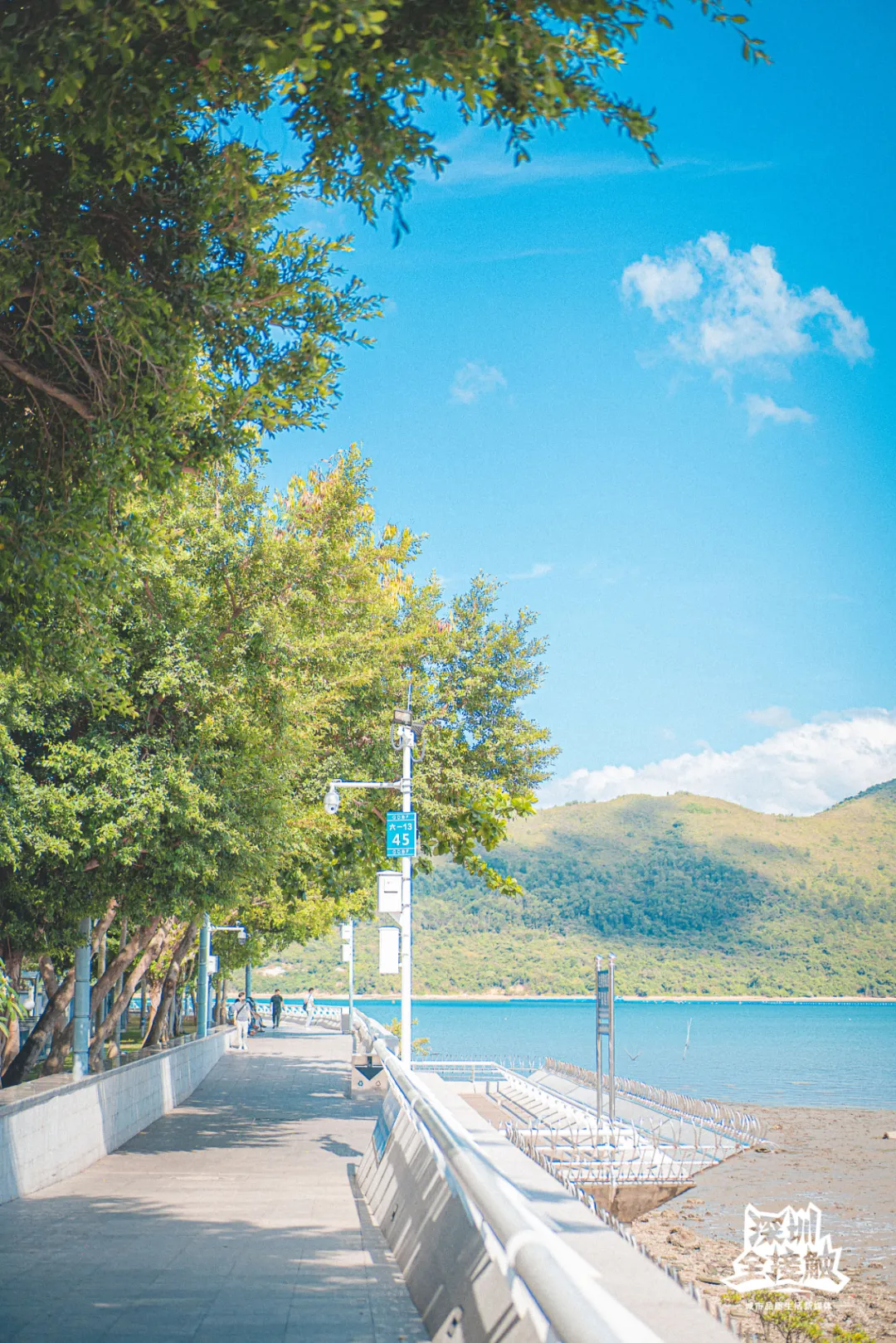 一马平天下 闭门133天，重开不足1年，中英街变了？