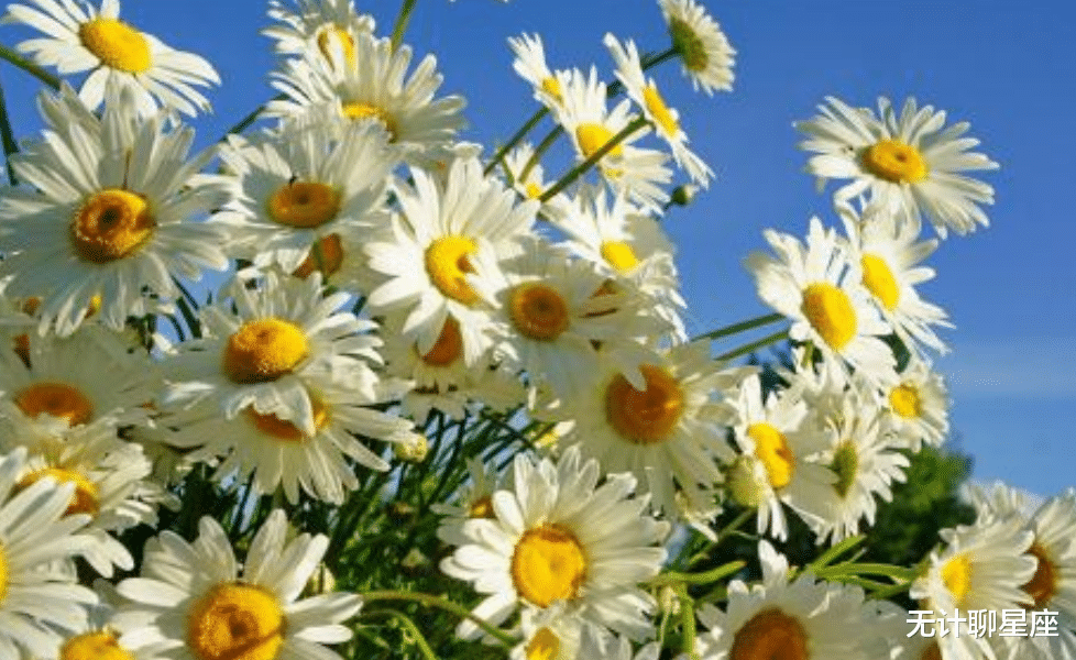 无计聊星座 11月份,最值得信任的4个星座女,闺蜜的最佳人选,友谊深厚