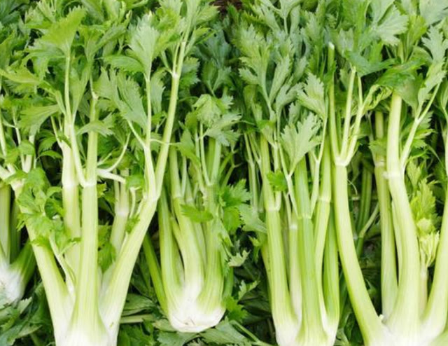 高血压|高血压不能碰“洋葱”?提醒:想要血压平稳,5种食物可以经常吃