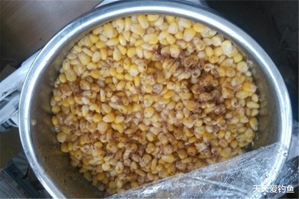 清明节|清明节前后钓鱼,气候有变化,技巧也要跟着变,不要墨守成规