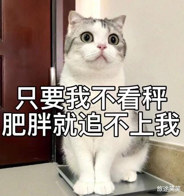 旅途笑笑|现代审美下的身材焦虑陷阱