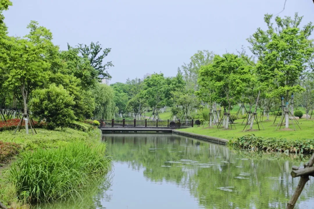 章子怡|热播电视剧《理想之城》松江取景地来了!