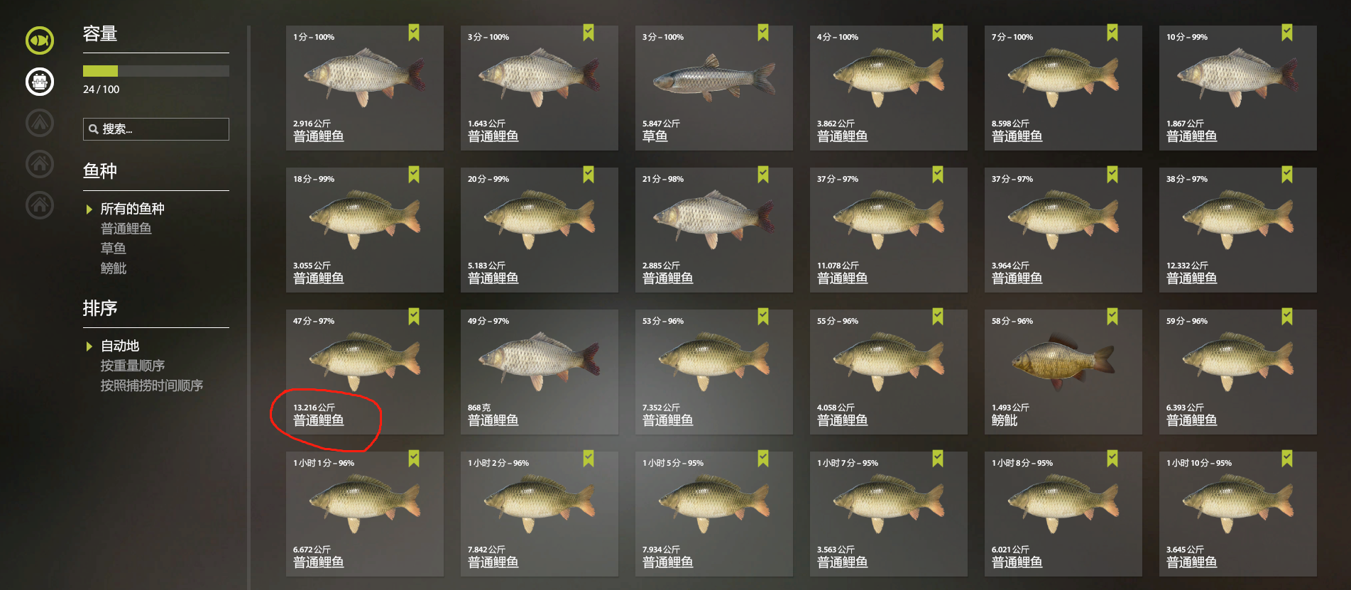 |俄罗斯钓鱼4丨12图老奥，草莓套蹲，普通鲤鱼口比较纯