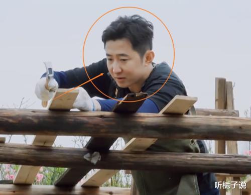 向往的生活|《向往的生活》大翻车？走了一个无所事事的，又迎来两位最烦人的