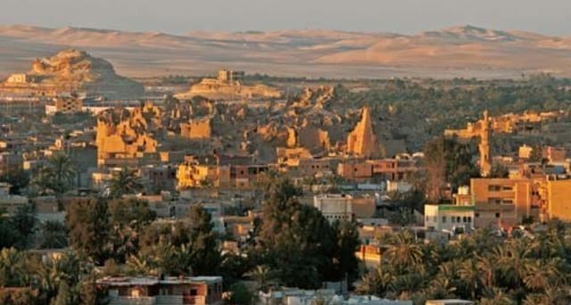 心悦雅萌|继承者们对亚历山大大帝希腊化王朝建城活动的追随