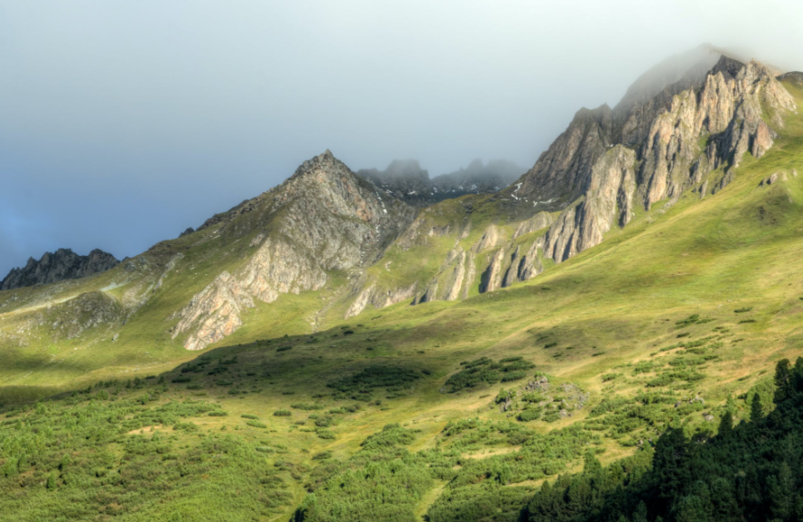 星座叶大仙 天生反骨，控制欲极强的星座，自己的人生自己掌控，谁也不能指点