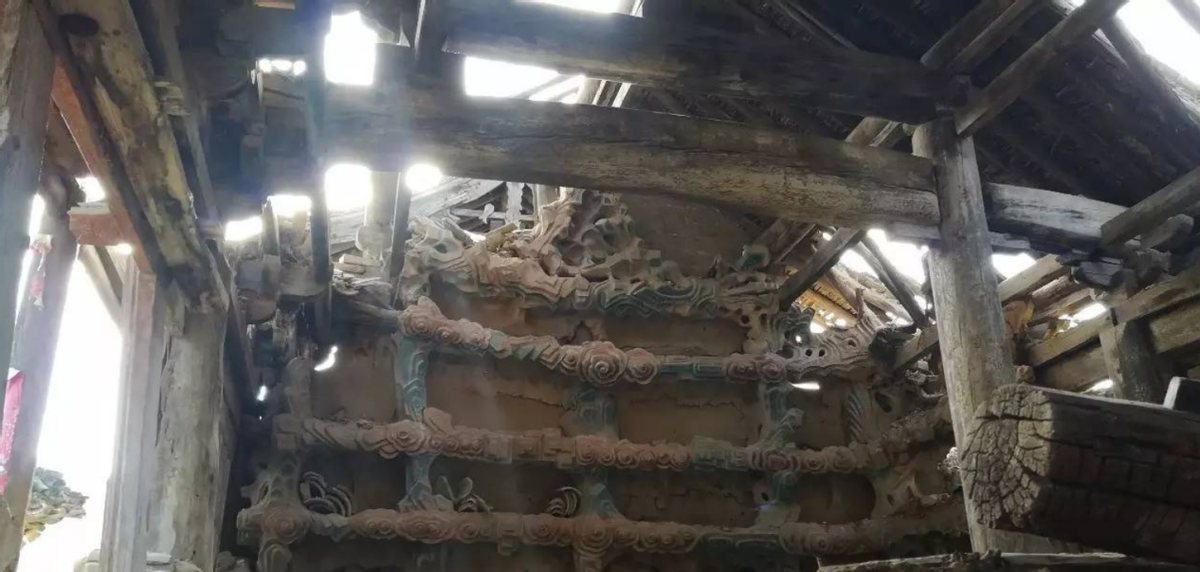 植物|古语说“宁宿荒坟，不住荒庙”，难道古庙比荒坟更可怕？