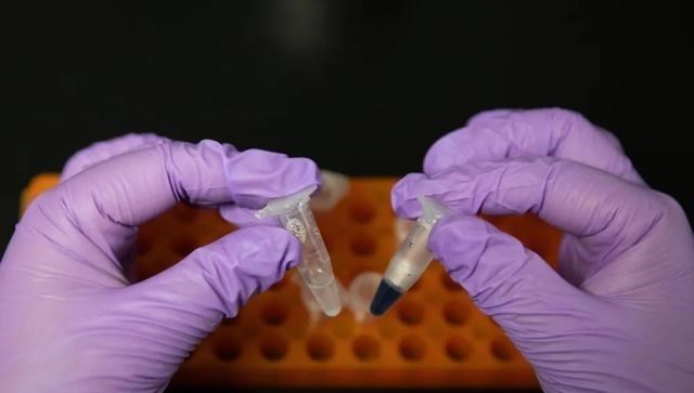 人工合成淀粉 不需要绿色植物就能产生淀粉，真能吃吗？人工合成淀粉意义是啥？