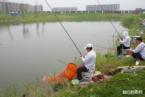 |防止小鱼闹窝有奇招，4种完美解决小鱼闹窝的方法，果断收藏