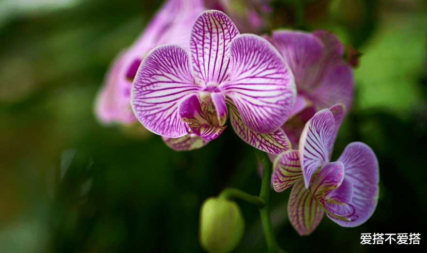 爱搭不爱搭|头脑很清醒,不会轻易动情,保持理性的星座