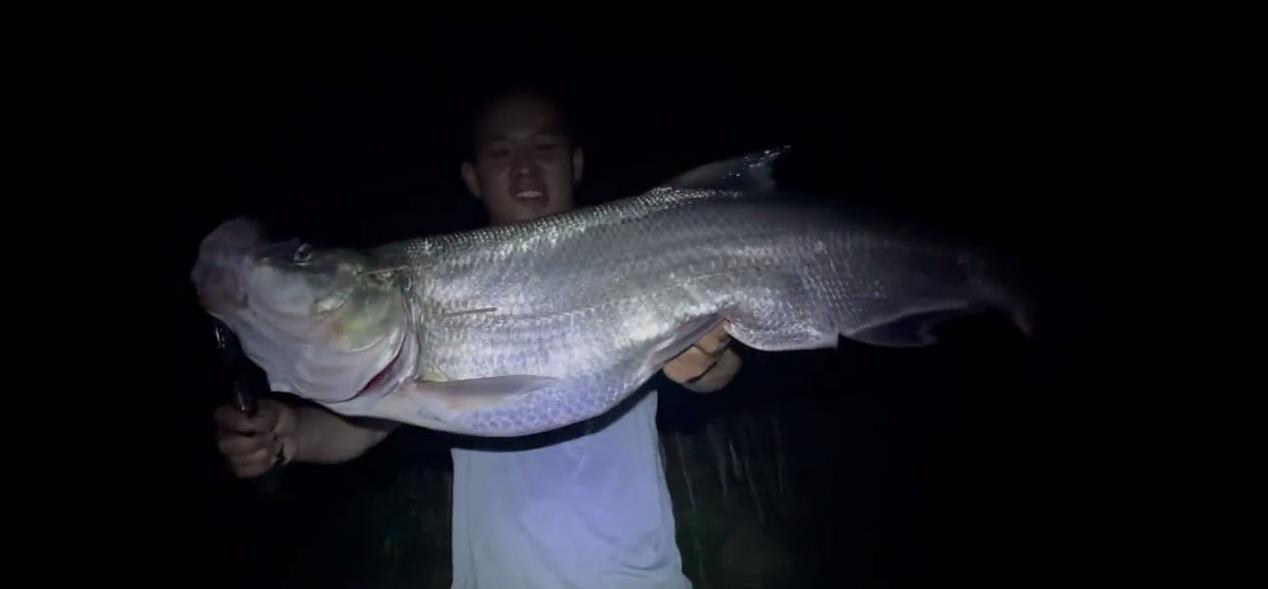运势 26斤！小伙钓起西江“翘嘴鱼王”，网友：中看不中用，肉老难吃